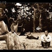 Kwoon - List pictures