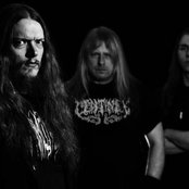 Amaran - List pictures