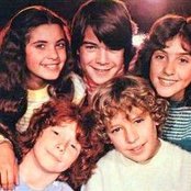 Parchis - List pictures