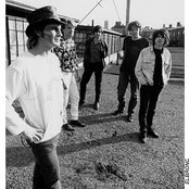 Men Without Hats - List pictures