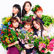 Flower - List pictures