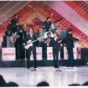 Monkeys - List pictures