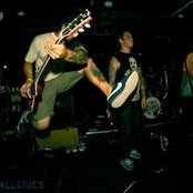 50 Lions - List pictures