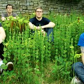 Maserati - List pictures