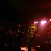 Stereoside - List pictures