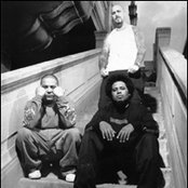 Delinquent Habits - List pictures