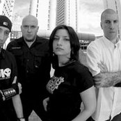 Addiction Crew - List pictures