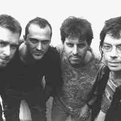 Subhumans - List pictures