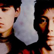 Psyche - List pictures