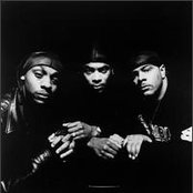 Sporty Thievz - List pictures