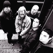 40 Below Summer - List pictures