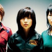 Chat Monchy - List pictures