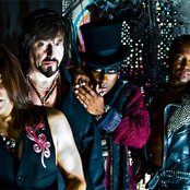 Crown Of Thorns - List pictures