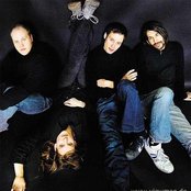 Wir Sind Helden - List pictures