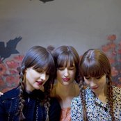 Au Revoir Simone - List pictures