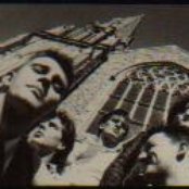 Close Lobsters - List pictures