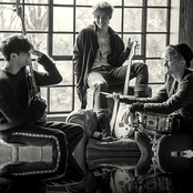 Royal Pirates - List pictures