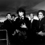Wall Of Voodoo - List pictures