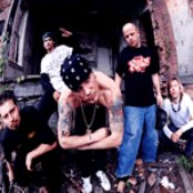 Zug Izland - List pictures