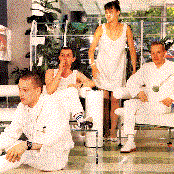 Sugarcubes - List pictures