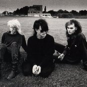 Skinny Puppy - List pictures
