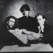 Alphaville - List pictures