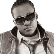 Harvey Stripes - List pictures