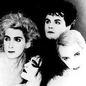 Siouxie - List pictures