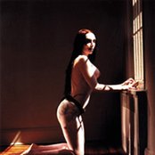 Jarboe - List pictures