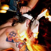 The Bunny The Bear - List pictures