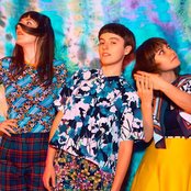 Stealing Sheep - List pictures