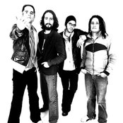 The Hall Effect - List pictures