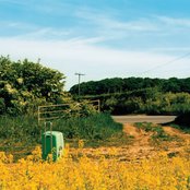 Fyfe Dangerfield - List pictures