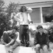 The Bicycle Thief - List pictures