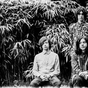 The Wytches - List pictures