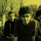 The Lines - List pictures