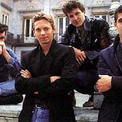 Plebe Rude - List pictures