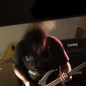 Mastino - List pictures