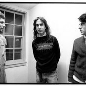 Dinosaur Jr. - List pictures