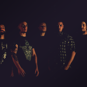 Fallujah - List pictures