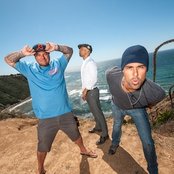 Pepper - List pictures