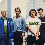 Bush - List pictures