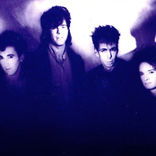 Real Life - List pictures