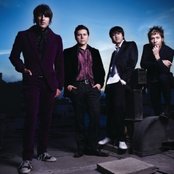 Libido - List pictures