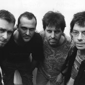 Subhumans - List pictures