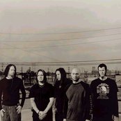 Cold - List pictures