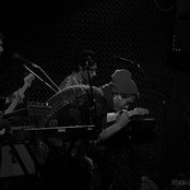 Young Lyre - List pictures