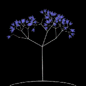 Planes - List pictures