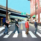 Distorted Penguins - List pictures