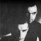 Coil - List pictures